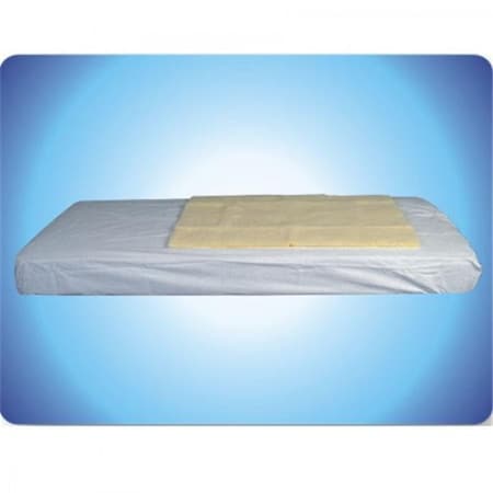 Living Healthy Products AZ-74-6555 Kodel Bed Pad; 30 X 60 In.